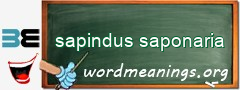 WordMeaning blackboard for sapindus saponaria